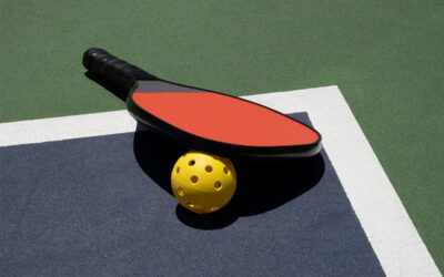 Specialised Pickle-Ball Court Construction