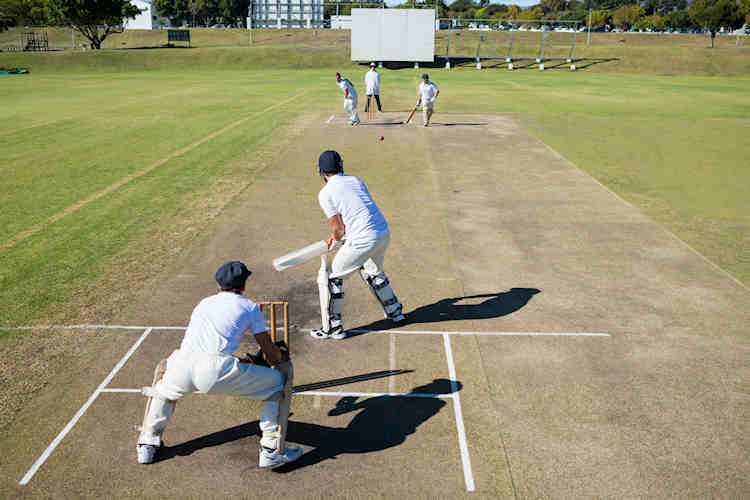 Premium Cricket Grounds – Where Community and Versatility Meet