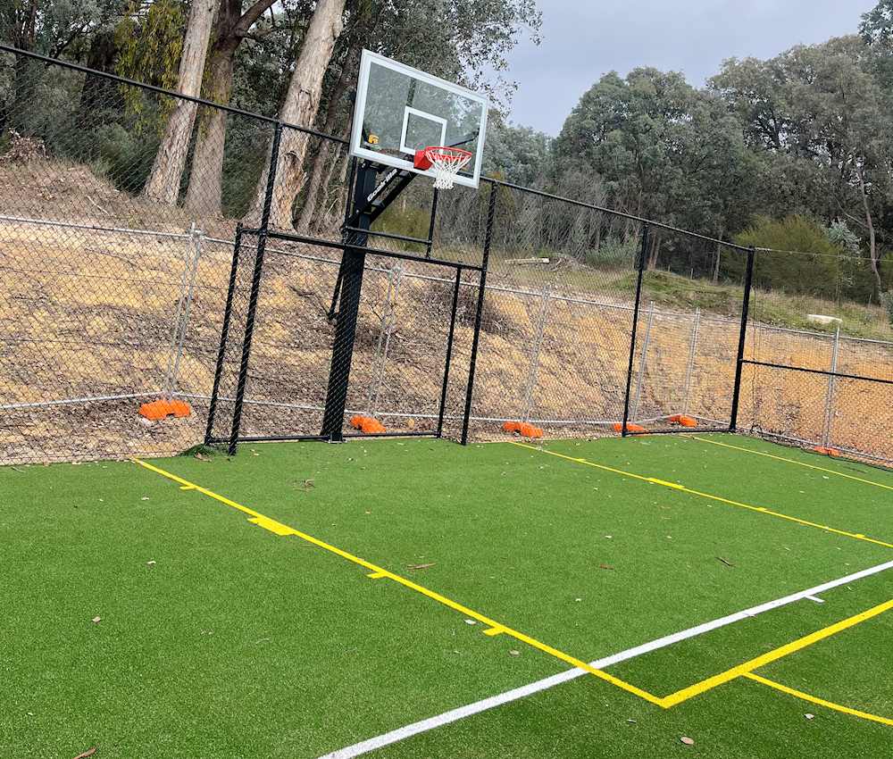 Basketball Ring and Soccer Goal