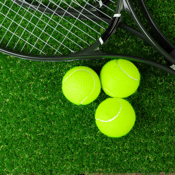 Asphalt Vs Artificial Grass1 Asphalt Vs Artificial Grass