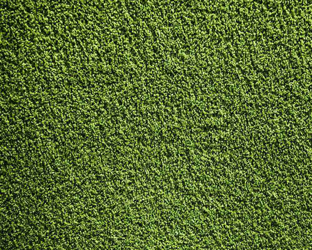 Close up Tennis Court turf 2